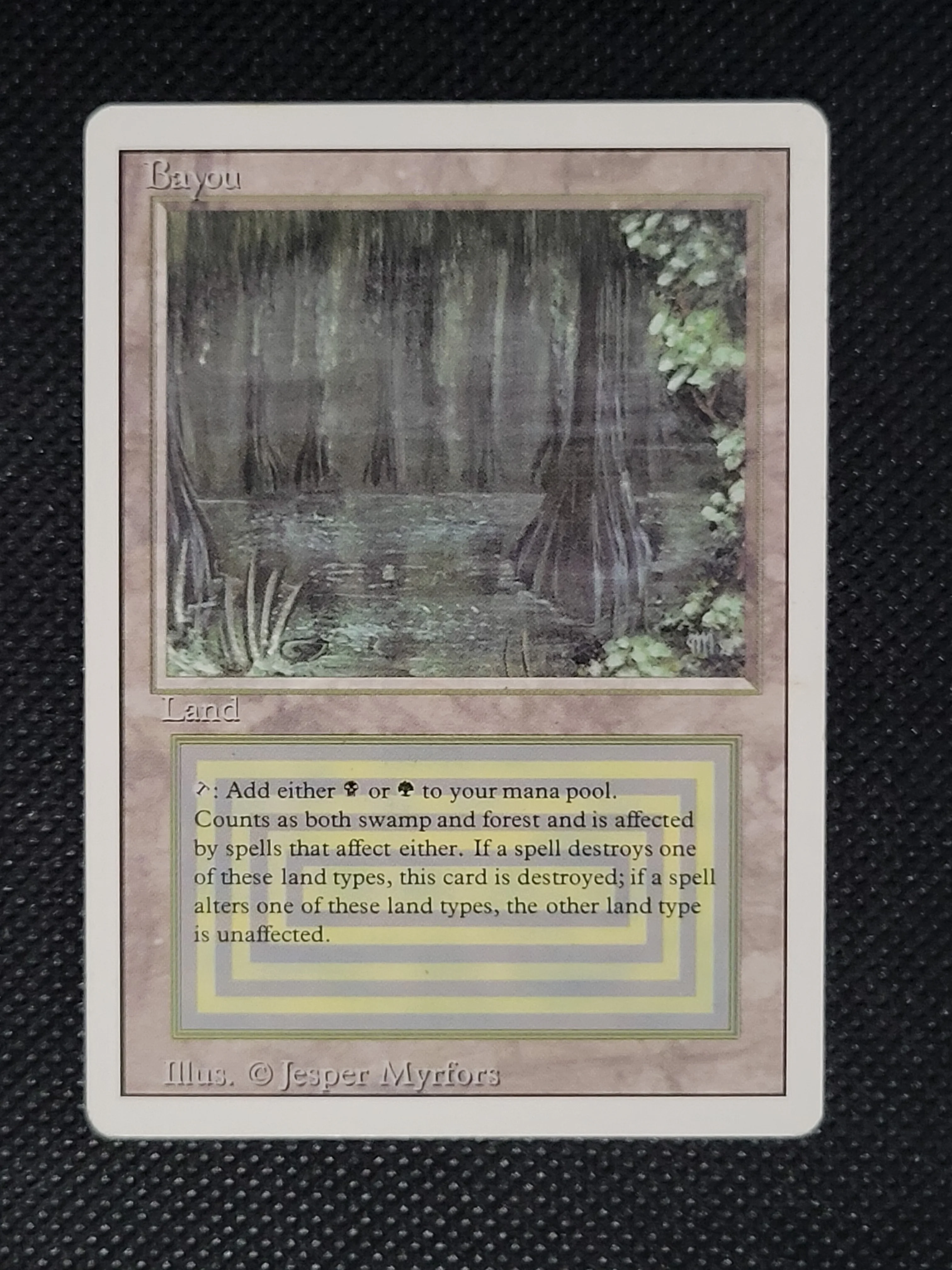 Bayou — Damaged — ID 17996 - Image 3