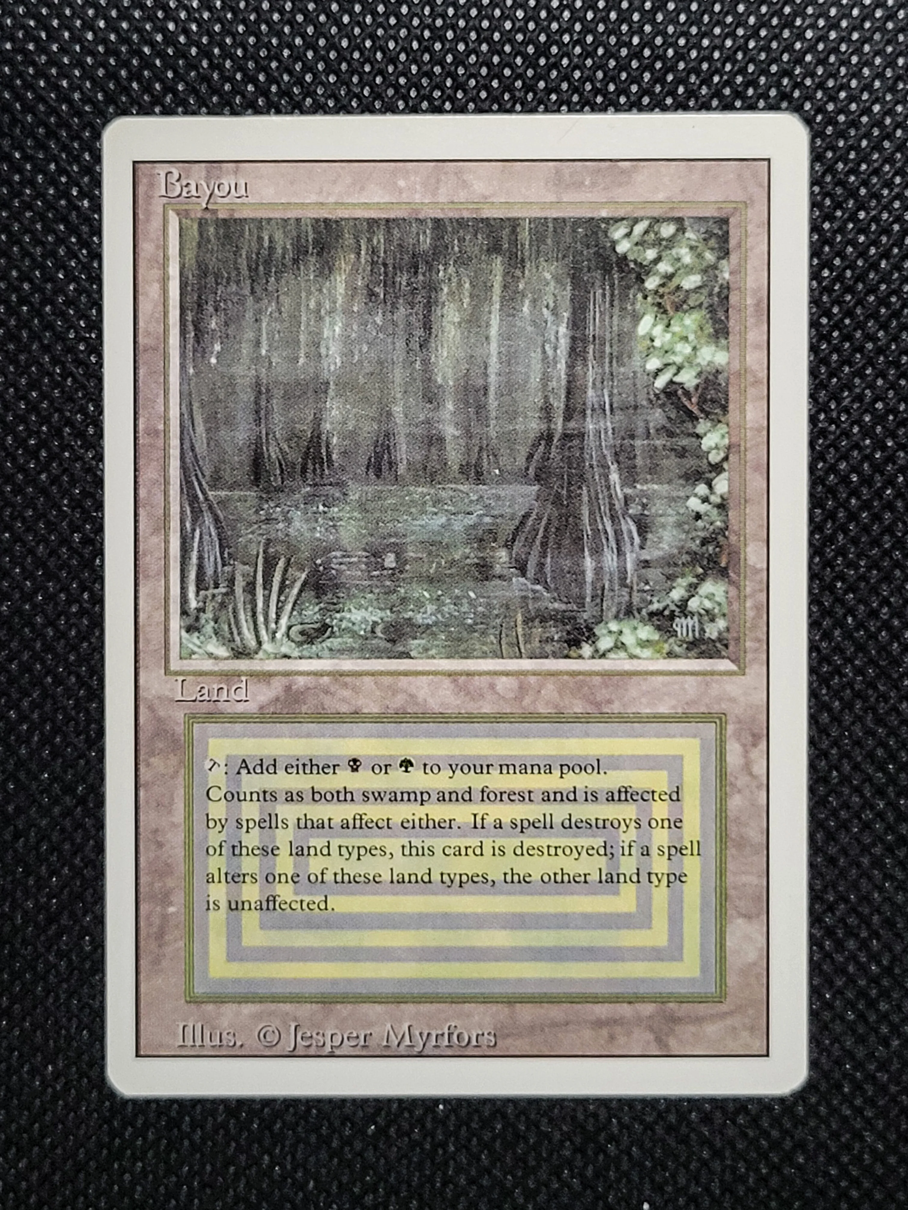 Bayou — ID 17007 - Image 3