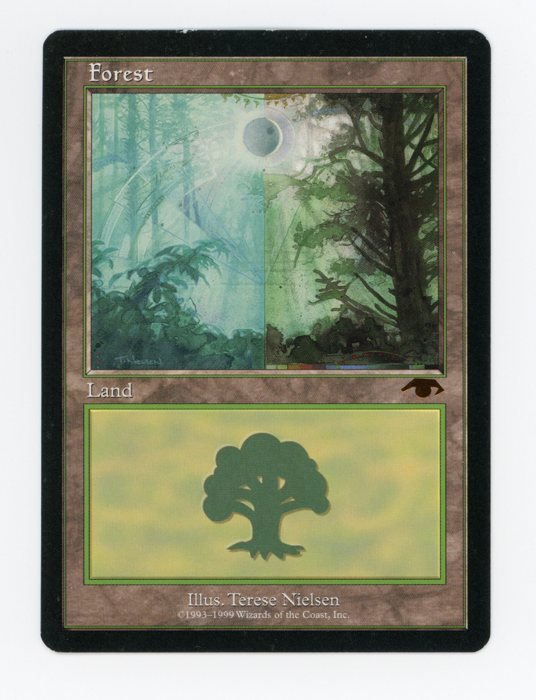 Forest — ID 16837