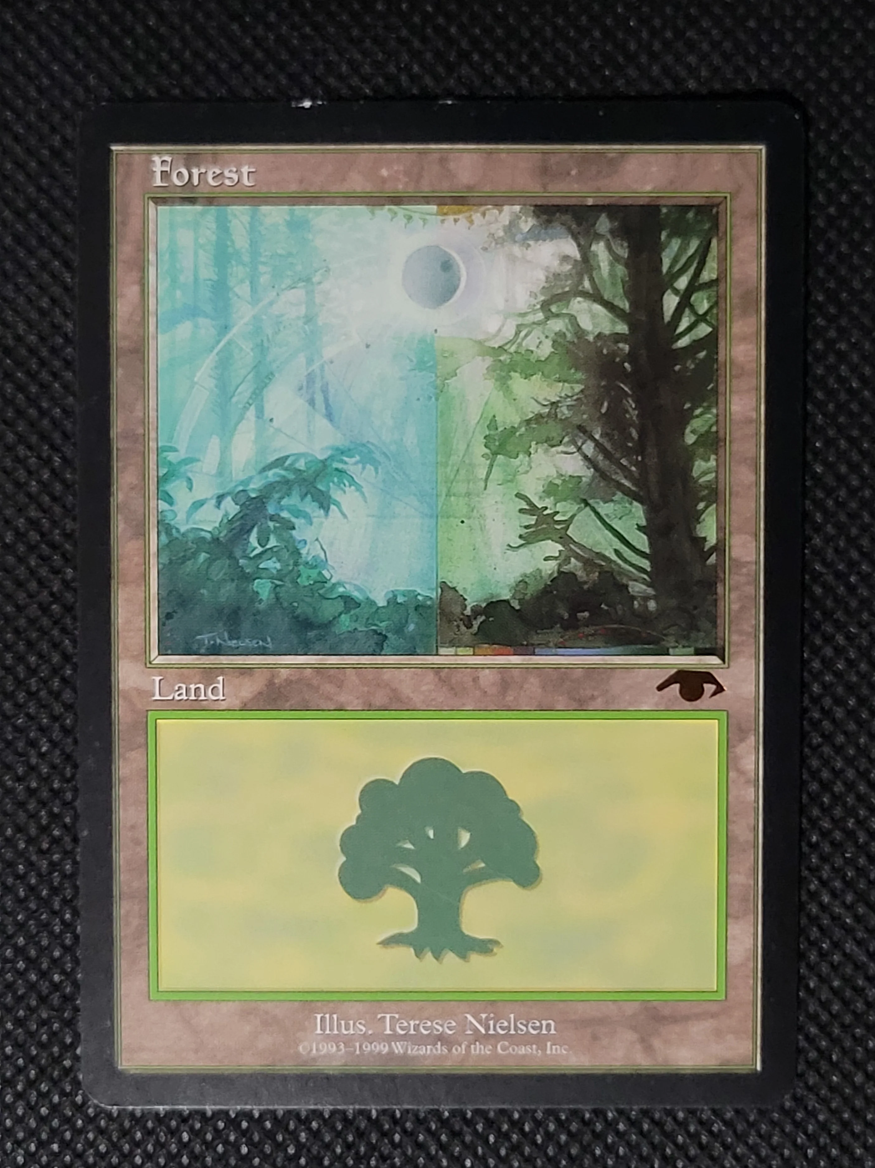 Forest — ID 16837 - Image 3