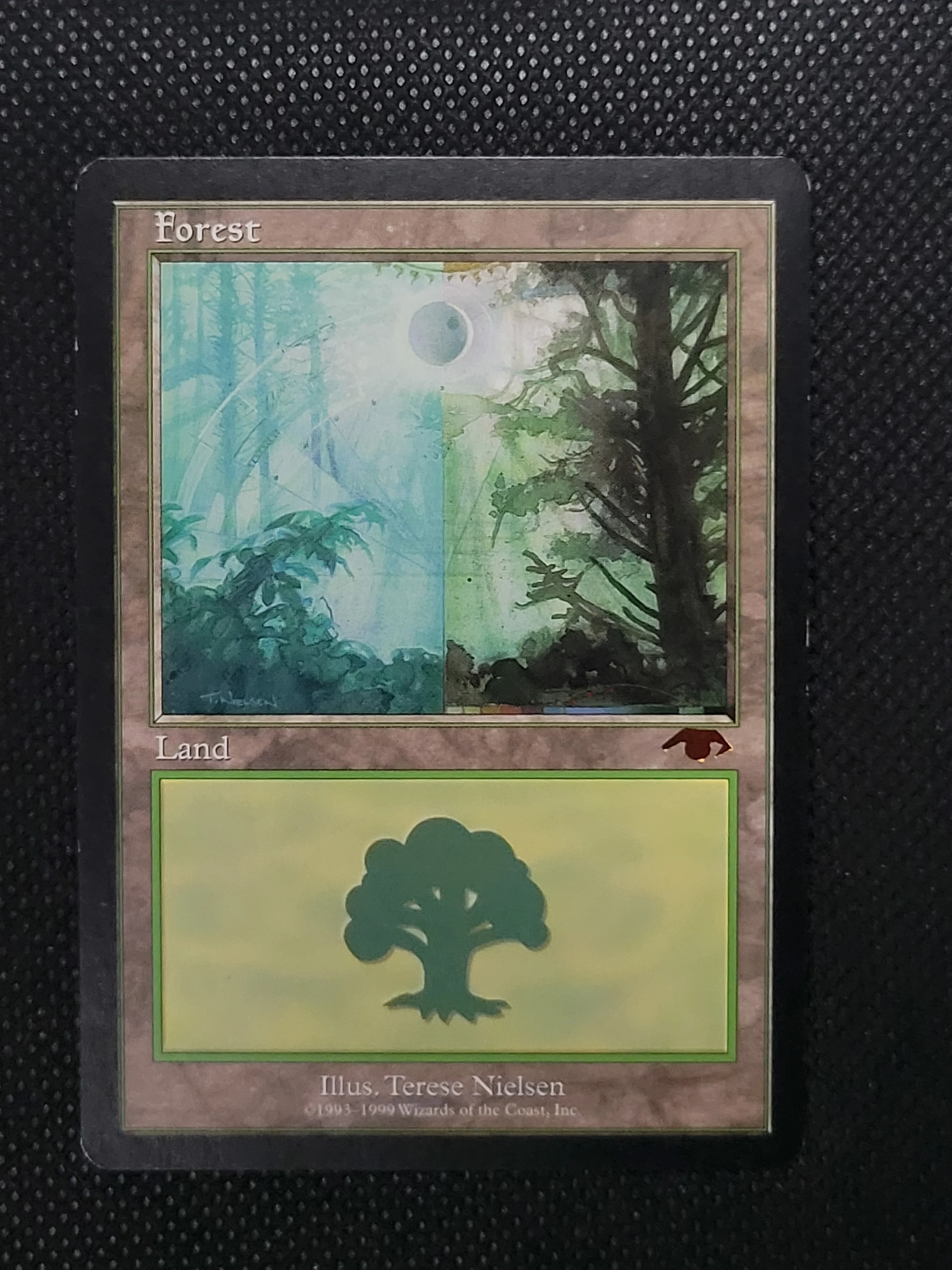 Forest — ID 17637 - Image 3