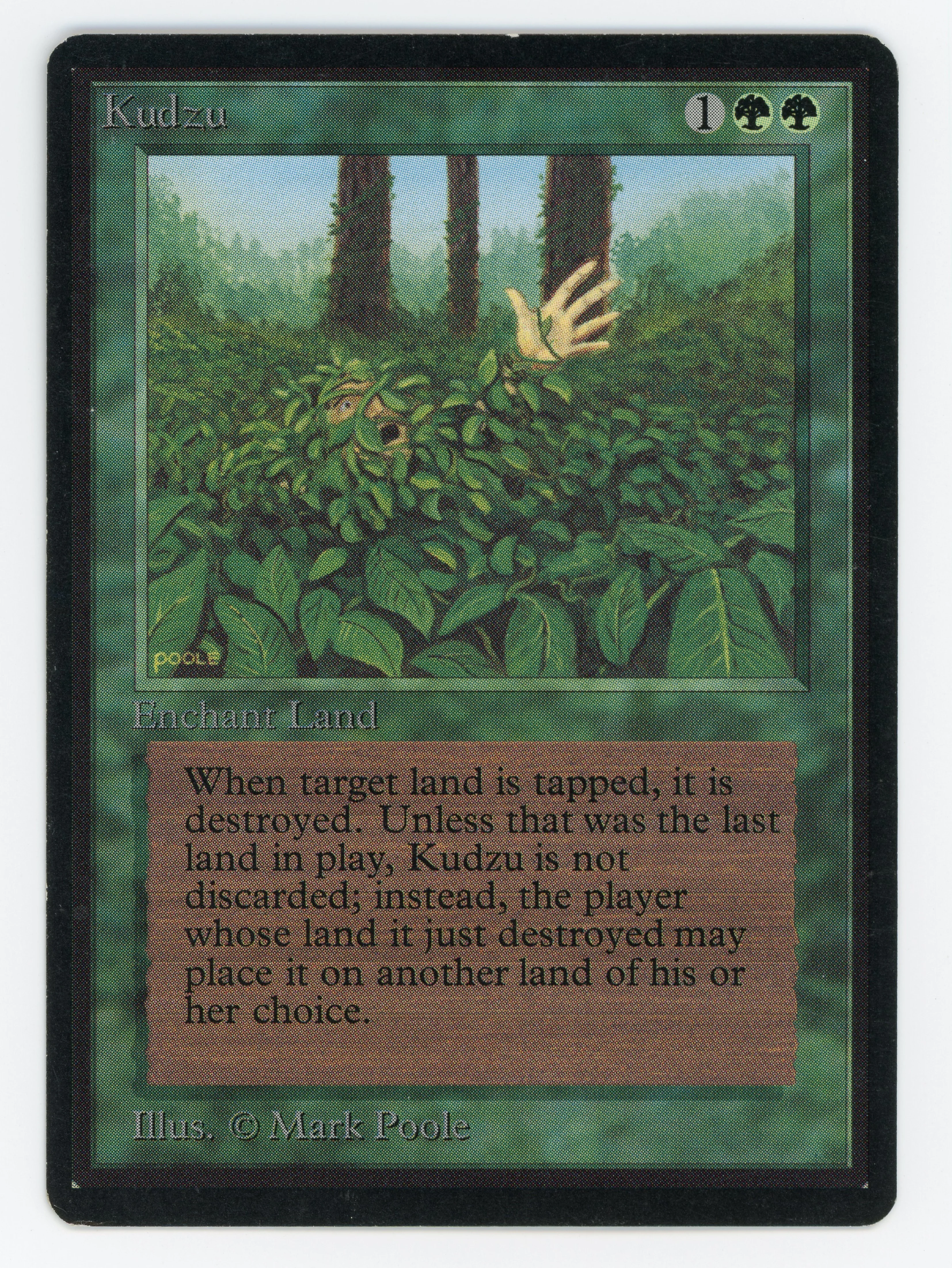 Kudzu - Scan 15696