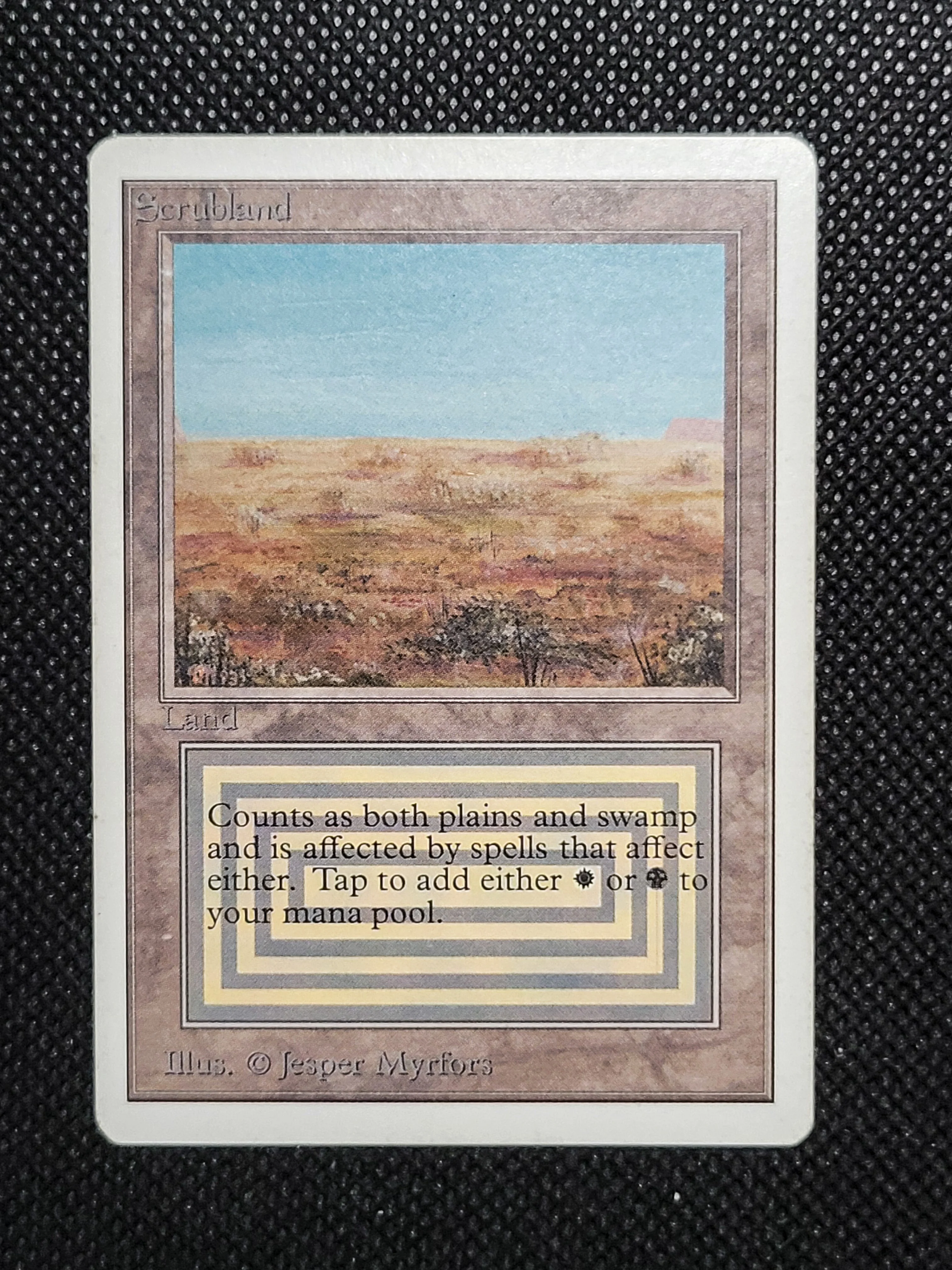 Scrubland — ID 16949 - Image 7