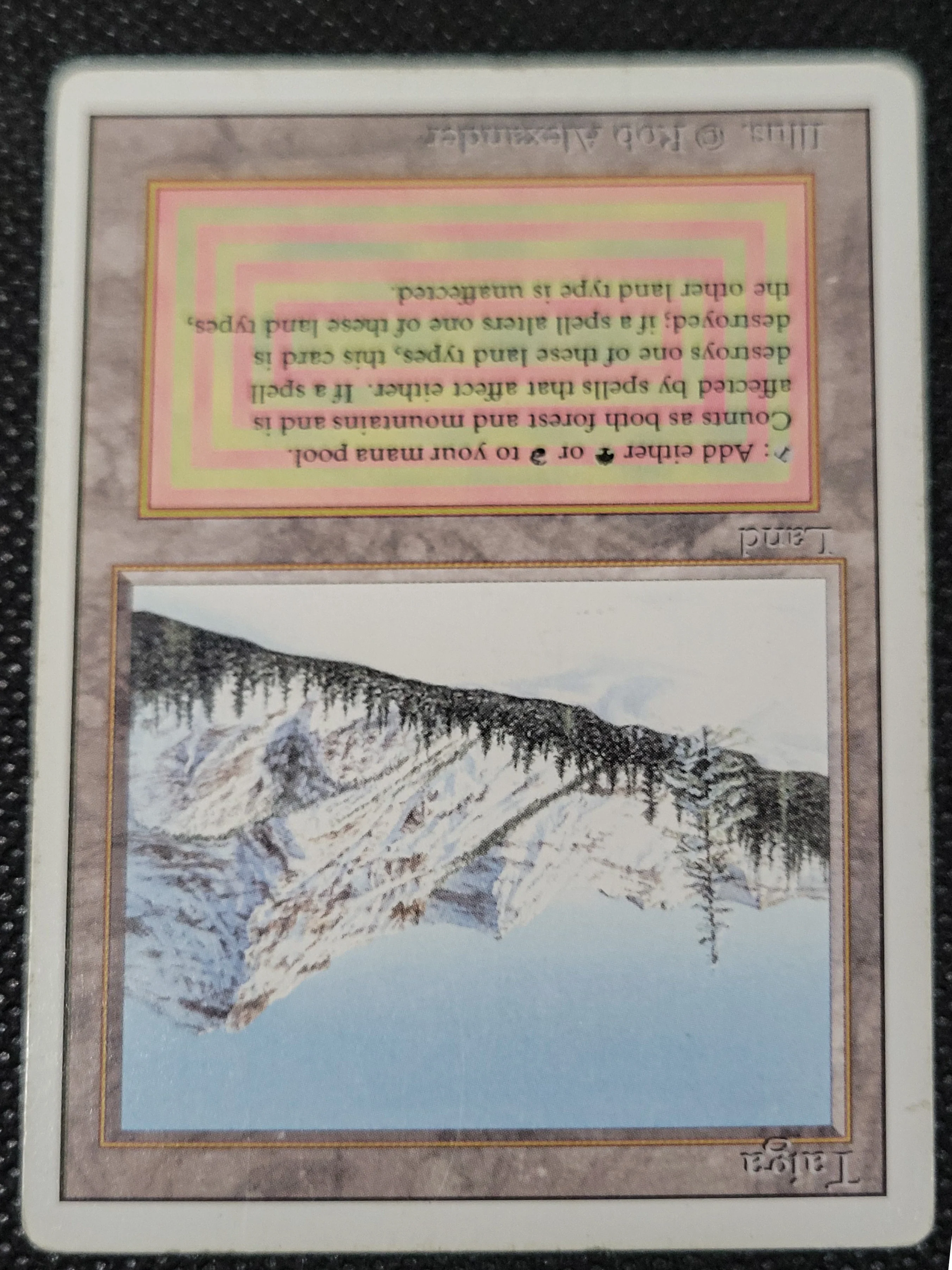 Taiga — ID 16958 - Image 4