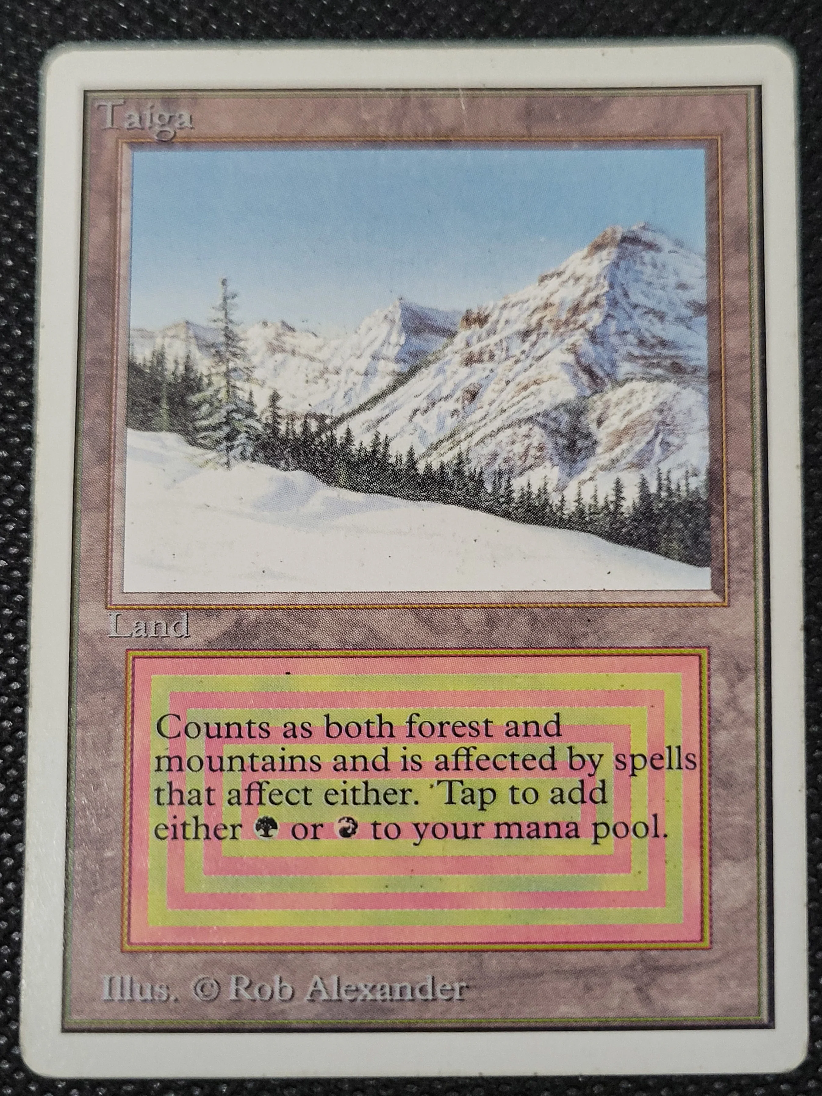 Taiga — ID 16962 - Image 3