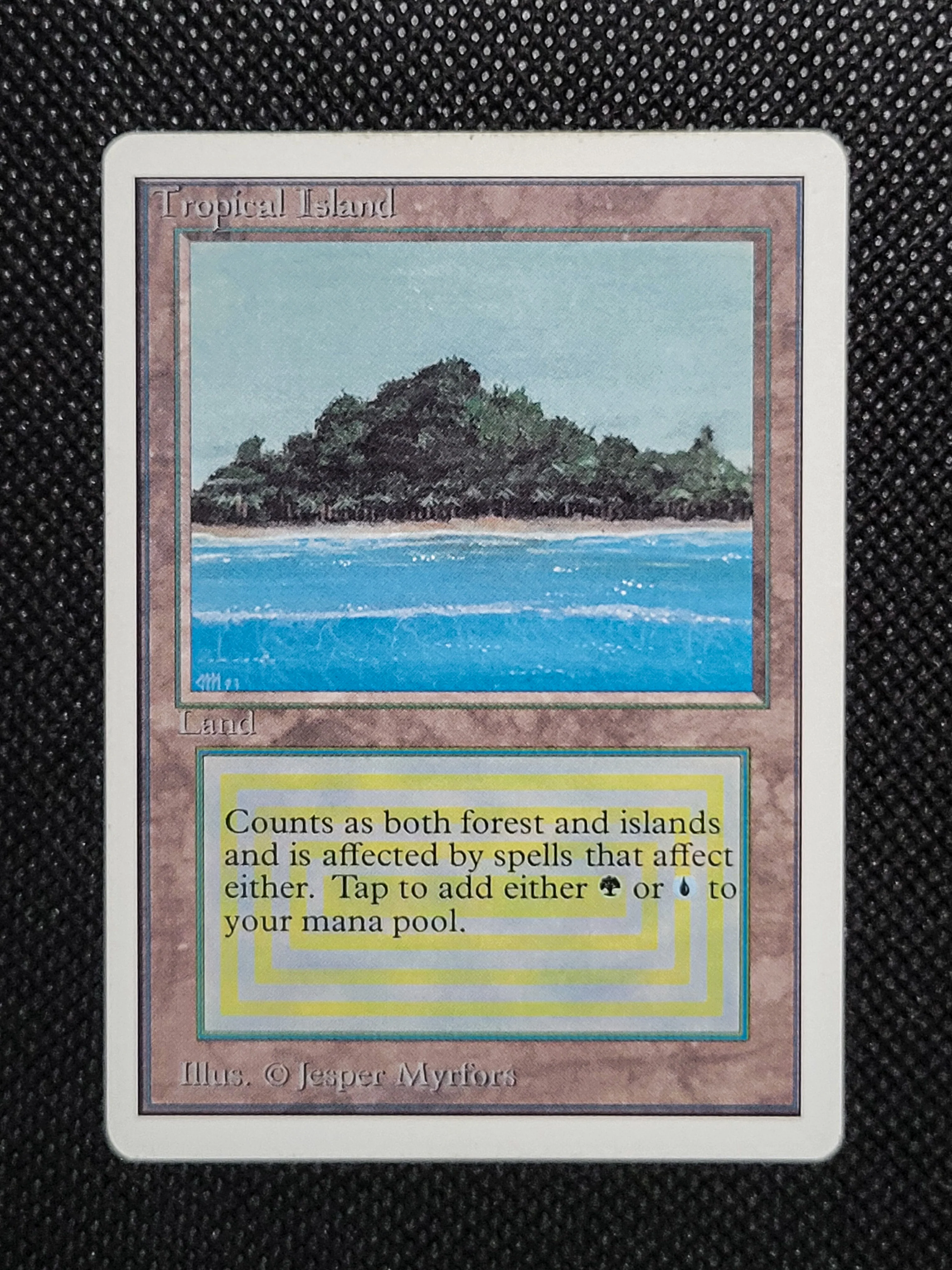 Tropical Island — ID 16969 - Image 7