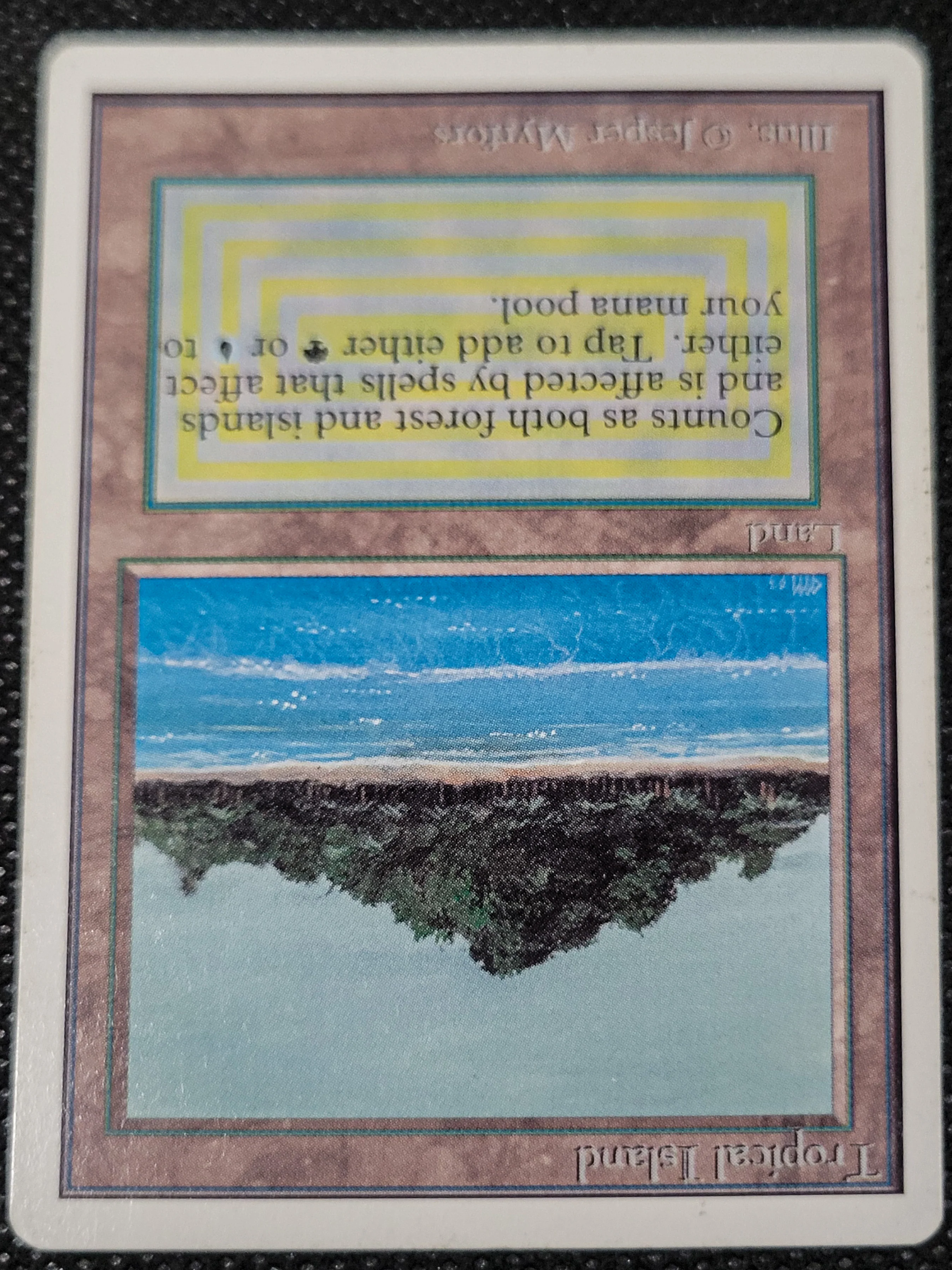 Tropical Island — ID 16971 - Image 4