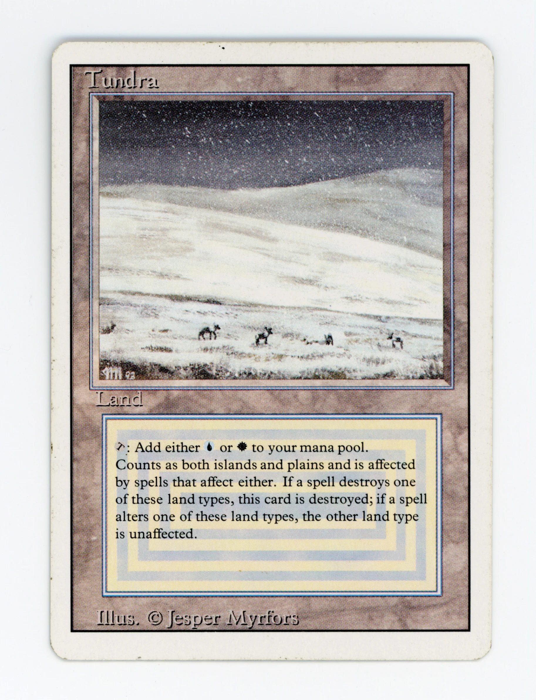 Tundra — ID 16868