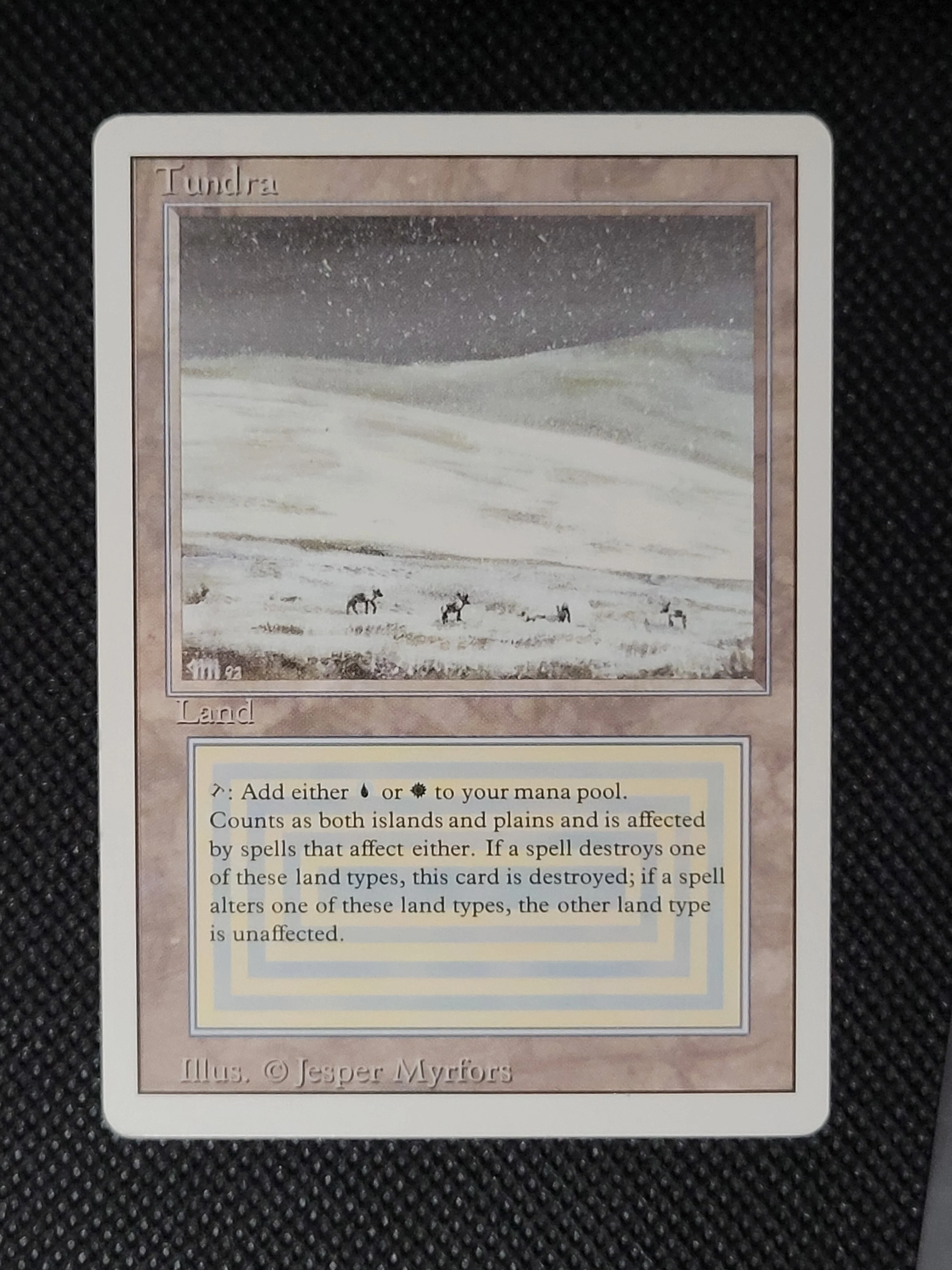 Tundra — ID 16869 - Image 3