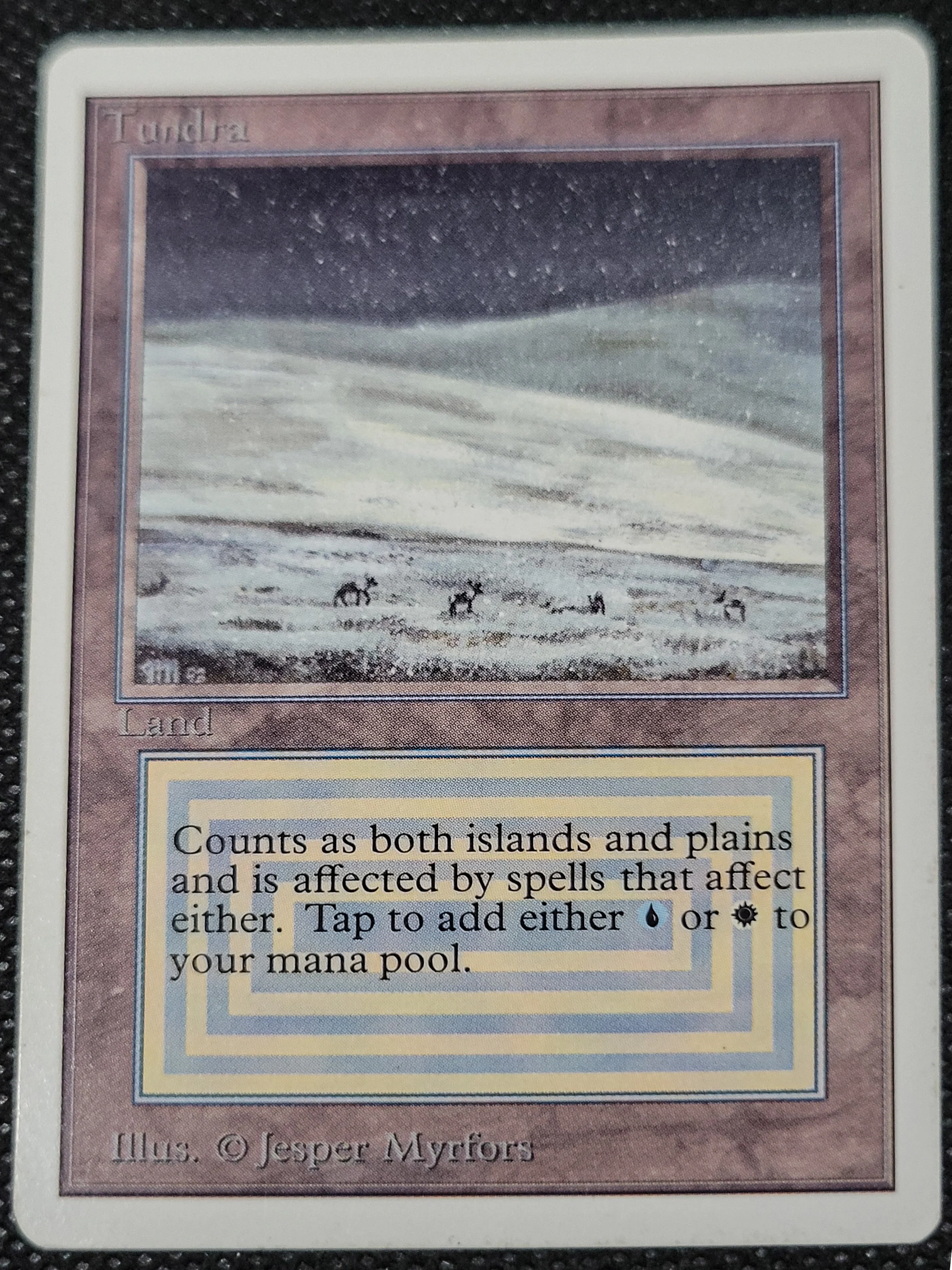 Tundra — ID 16976 - Image 3