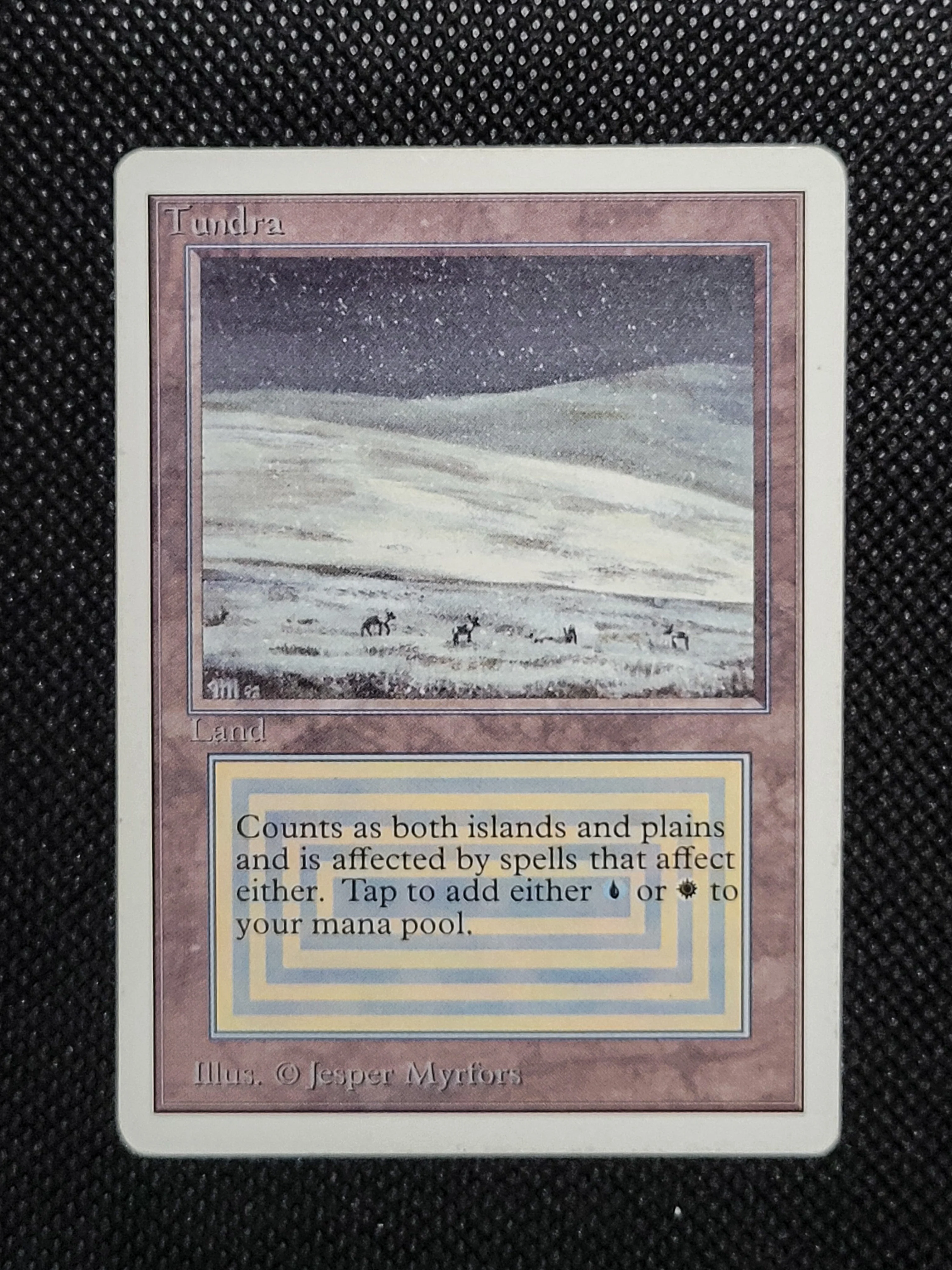 Tundra — ID 16976 - Image 7