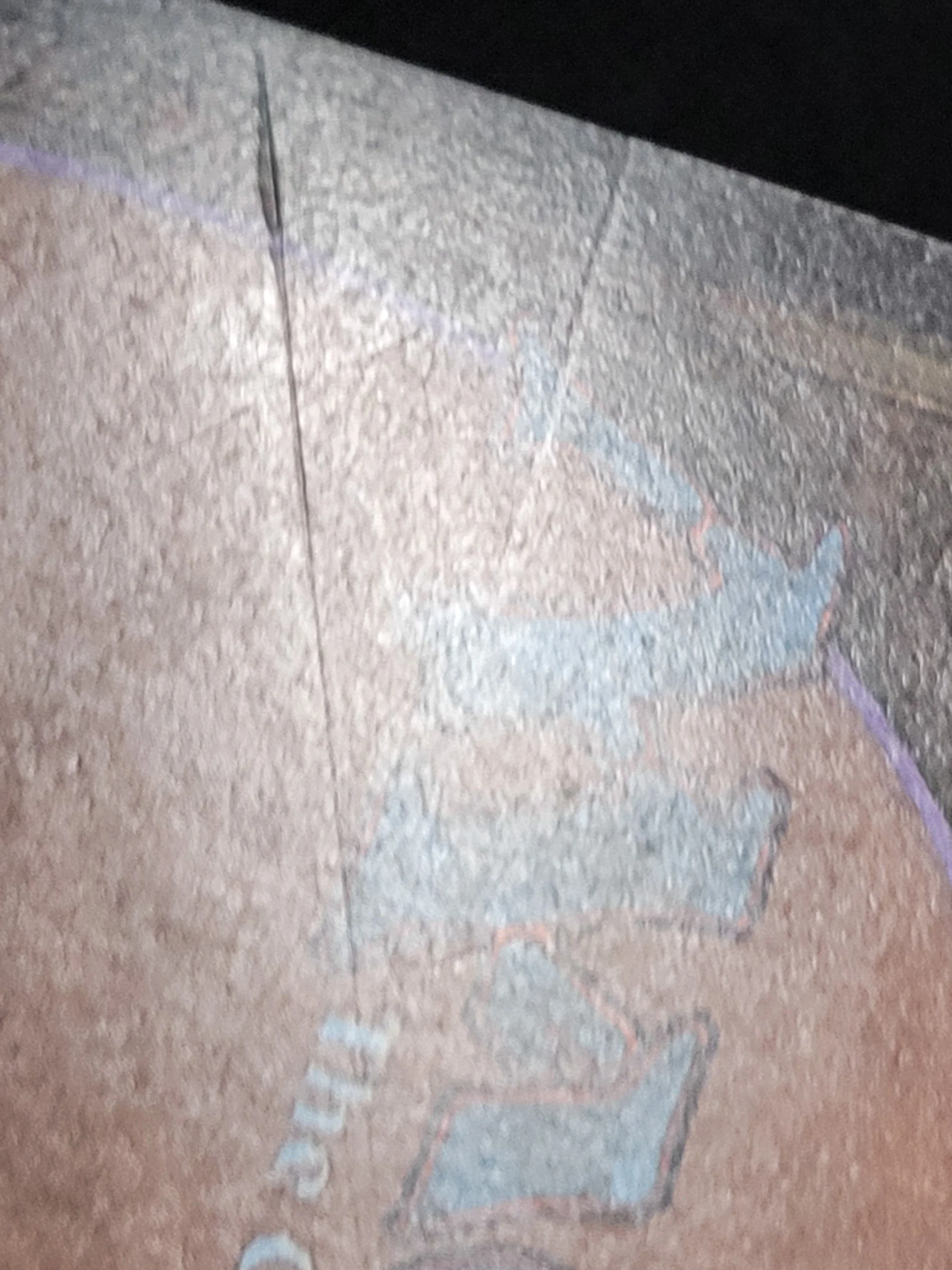Tundra — ID 16976 - Image 9