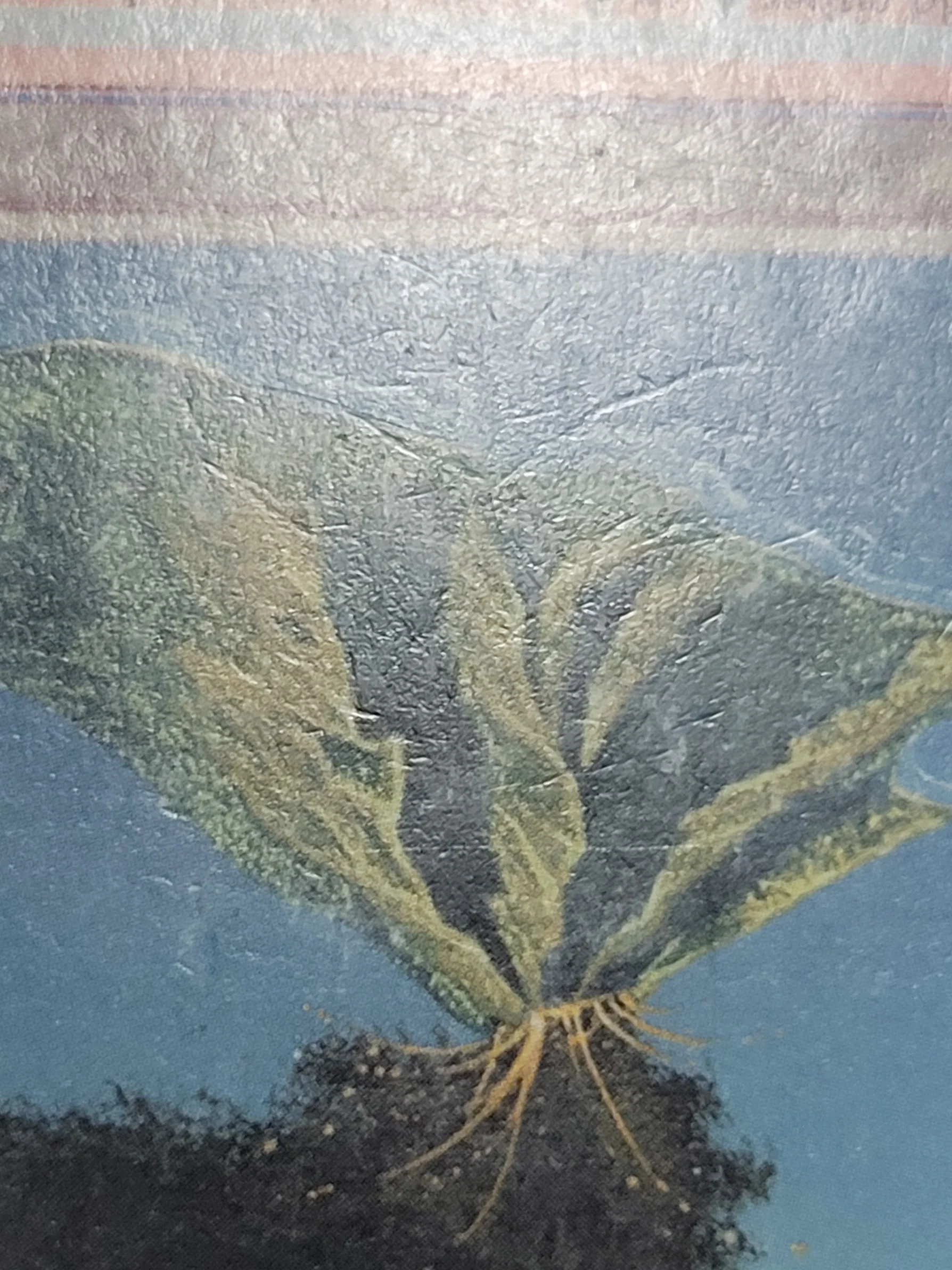 Volcanic Island — Damaged — ID 17072 - Image 3